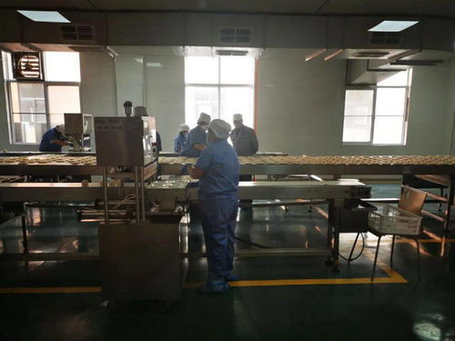 陜西五大供應鏈行業標桿企業創始人齊聚，分享數字化轉型之路與西安網站建設經驗